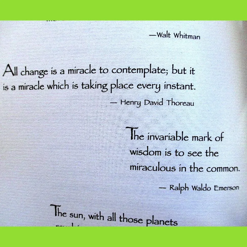 Book: These Are the Gifts I'd Like to Give to You, Edited by Douglas Pagels - Picture 9 of 15